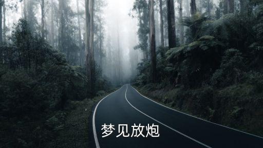 夢見放炮，夢見放炮