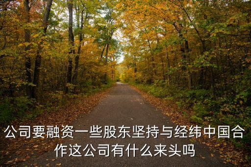 公司要融資一些股東堅持與經緯中國合作這公司有什么來頭嗎
