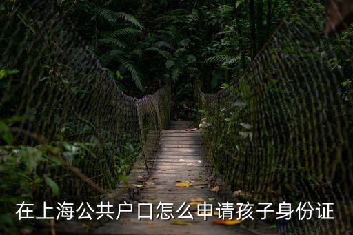 上海市小孩能辦身份證，在上海公共戶口怎么申請孩子身份證
