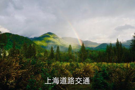 上海道路交通