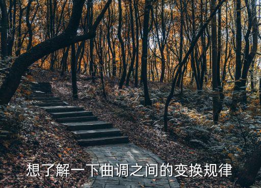 變調(diào)規(guī)律，音樂(lè)中 調(diào)的變化 是怎么個(gè)規(guī)律