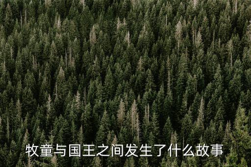 牧童與國王之間發生了什么故事