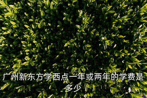 廣州新東方學(xué)西點一年或兩年的學(xué)費是多少