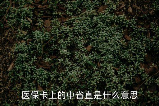 醫(yī)保卡上的中省直是什么意思
