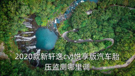 2020款新軒逸cvt悅享版汽車胎壓監測哪里調