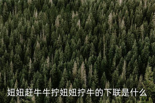 妞妞趕牛牛擰妞妞擰牛的下聯(lián)是什么