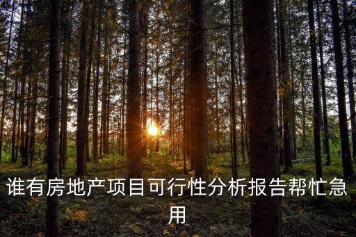 誰有房地產項目可行性分析報告幫忙急用