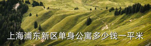 上海市區(qū)公寓房?jī)r(jià)格多少，現(xiàn)在上海好一點(diǎn)的單身公寓多少錢(qián)啊