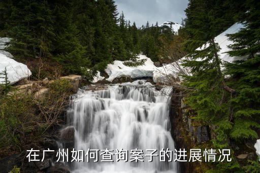 廣州番禺爆炸案最新進(jìn)展，廣州番禺交通事故責(zé)任認(rèn)定書不下達(dá)尸體 是否火化