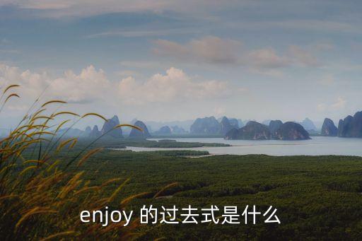 enjoy 的過去式是什么