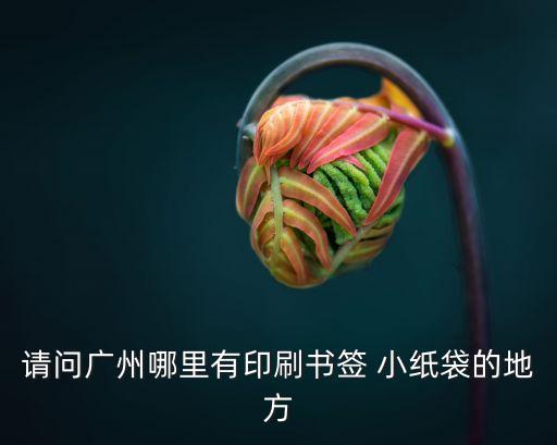 廣州紙袋印刷廠，請問廣州哪里有印刷書簽 小紙袋的地方