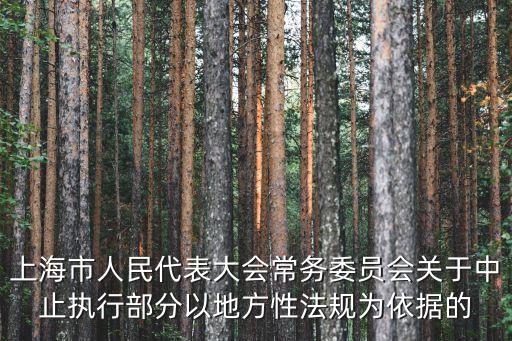 上海市第11次代表大會(huì)，印海蓉多大年齡