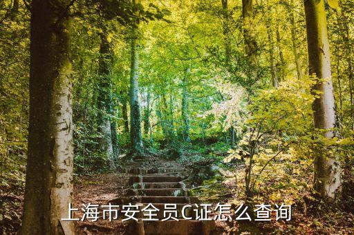 上海市安全員c證書查詢網(wǎng)址，上海市安全員C證怎么查詢