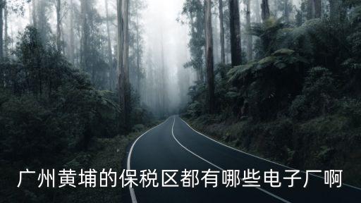 廣州黃埔的保稅區(qū)都有哪些電子廠啊