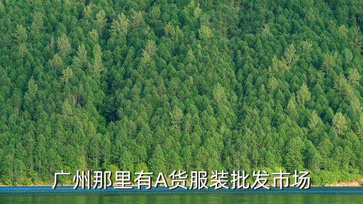 廣州那里有A貨服裝批發市場