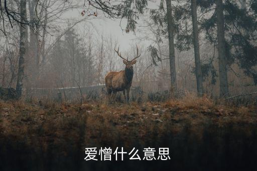 愛憎，愛憎什么意思