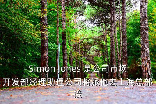 上海市儀電集團(tuán)邵震，Simon Jones 是公司市場開發(fā)部經(jīng)理助理公司將派他去上海總部接