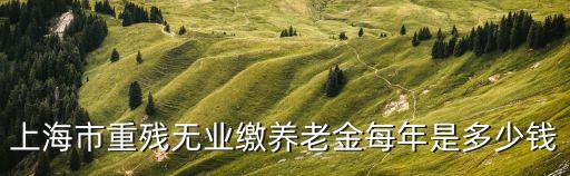 上海市重殘無業(yè)繳養(yǎng)老金每年是多少錢