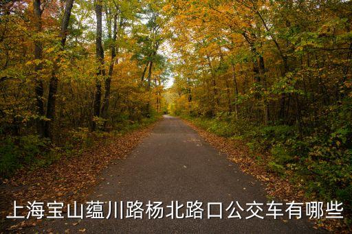 上海市寶山14，上海寶山蘊川路楊北路口公交車有哪些