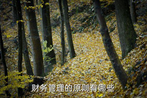 財務管理的原則，財務管理的原則有哪些