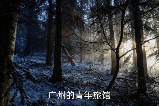 廣州適合開一家青旅的地方，廣州的青年旅館