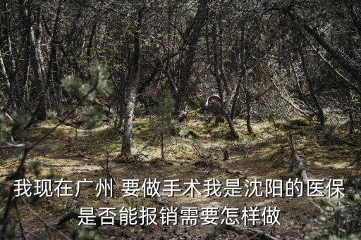 廣州和沈陽的醫保，廣州醫保轉移到沈陽流程