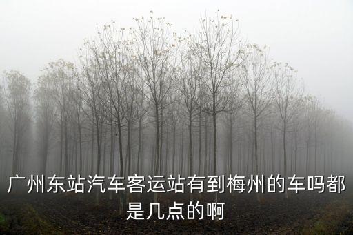 廣州東到梅州汽車，廣州東站附近有到梅州的汽車站嗎怎么走啊