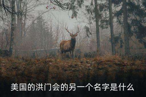致公堂，美國的洪門會的另一個名字是什么