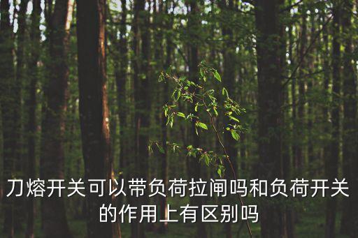 刀熔開關可以帶負荷拉閘嗎和負荷開關的作用上有區(qū)別嗎