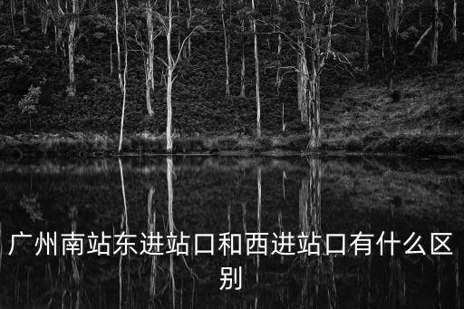 廣州南站平臺進站口，廣州南站高鐵在那個入口