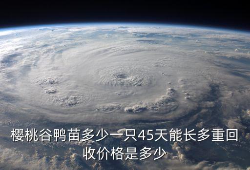 廣州櫻桃谷鴨苗多少錢一個(gè)，我想知道現(xiàn)在市場上英桃谷肉鴨和鴨苗的價(jià)格希望知道的朋友能幫我