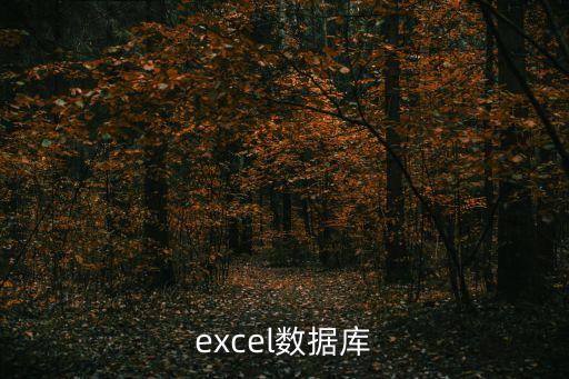 excel數(shù)據(jù)庫，如何用電子表格EXCEL建立數(shù)據(jù)庫