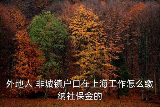 外地人 非城鎮戶口在上海工作怎么繳納社保金的