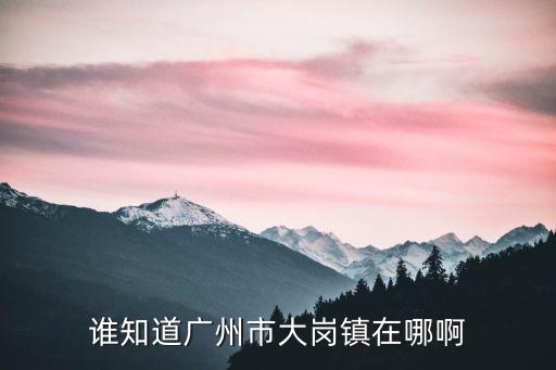 廣州車陂大崗2030，車陂大崗路坐什么車具體位置在哪里