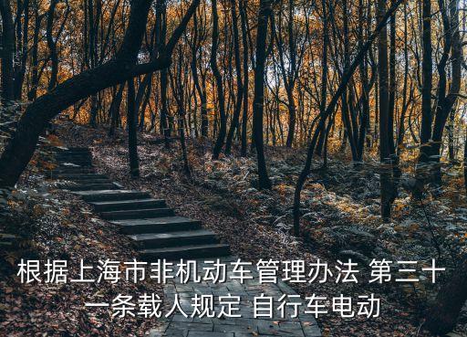 上海市非機動車管理辦法，根據上海市非機動車管理辦法 第三十一條載人規定 自行車電動