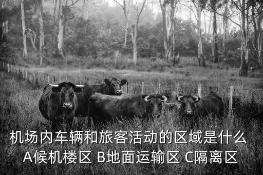 廣州機(jī)場(chǎng)候機(jī)樓隔離區(qū)，機(jī)場(chǎng)內(nèi)車輛和旅客活動(dòng)的區(qū)域是什么 A候機(jī)樓區(qū) B地面運(yùn)輸區(qū) C隔離區(qū)