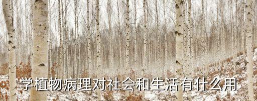 學植物病理對社會和生活有什么用