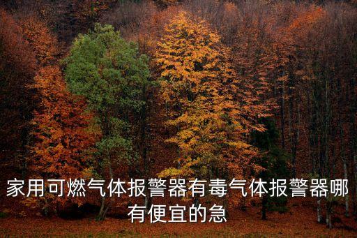家用可燃氣體報警器有毒氣體報警器哪有便宜的急