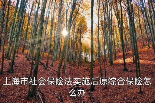 上海市社會保險法實施后原綜合保險怎么辦