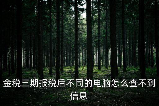 廣州金稅盤圖標，金稅三期報稅后不同的電腦怎么查不到信息