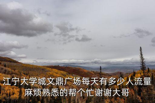 廣州江寧文鼎廣場，江寧大學城文鼎廣場每天有多少人流量麻煩熟悉的幫個忙謝謝大哥