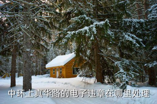 上海市真華路富平路違章攝像頭，上海各個路口探頭查詢