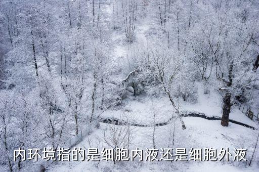 內(nèi)環(huán)境是指，什么是內(nèi)環(huán)境
