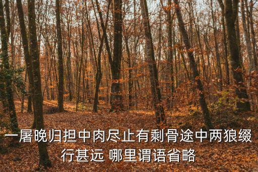一屠晚歸，一屠晚歸擔中肉盡止有剩骨途中兩狼綴行甚遠 哪里謂語省略