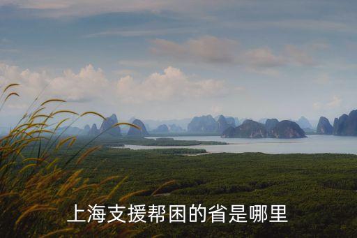上海市幫扶重慶，西部志愿者去支援重慶在那里入黨可行不我是上海的大專生同