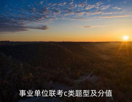 上海市c類人員考題，事業單位聯考c類題型及分值