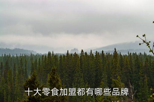 十大零食加盟都有哪些品牌
