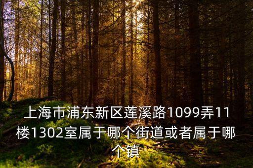 上海市浦東新區(qū)蓮溪路1099弄11樓1302室屬于哪個街道或者屬于哪個鎮(zhèn)