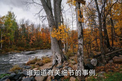 關(guān)于細(xì)節(jié)的事例，有關(guān)細(xì)節(jié)的故事