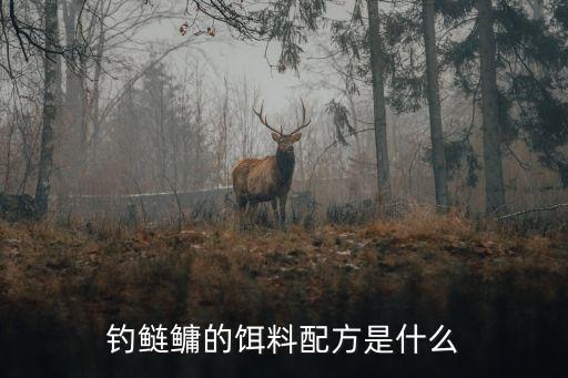 釣鰱鳙的餌料配方是什么